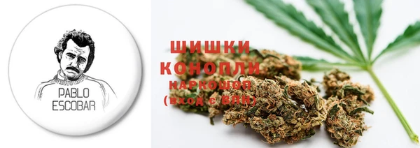 стаф Беломорск