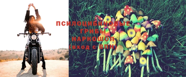 амф Белокуриха