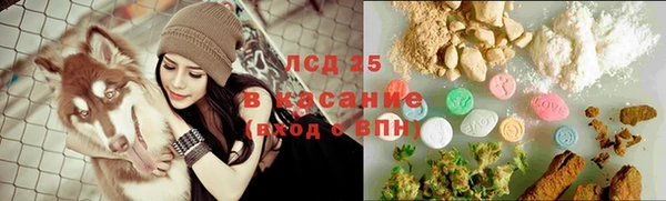 стаф Беломорск