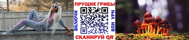 Купить закладки  Дюртюли  Галлюциногенные грибы Cubensis 